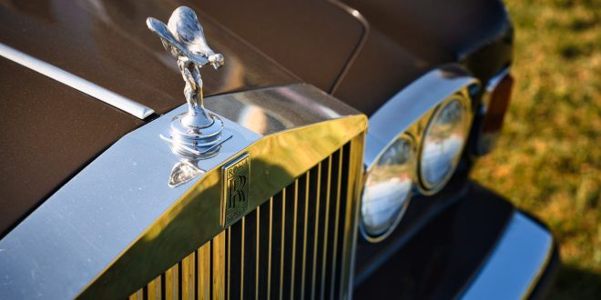 trabzonotokurutma.com .4