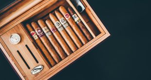 cigarshousetr2